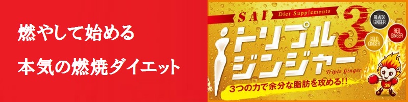 SAI�g���v���W���W���[���T�C�g